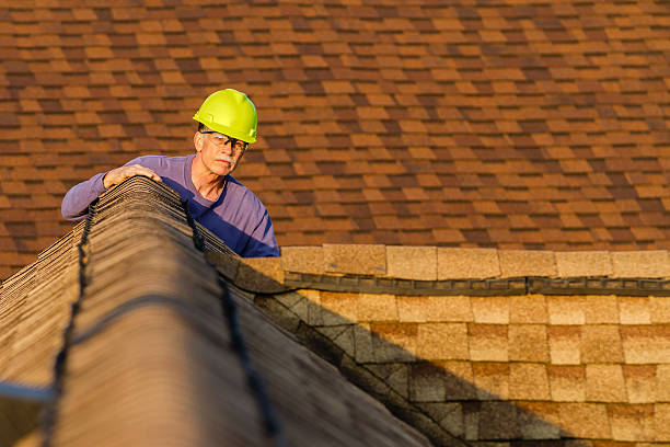 Best Roof Gutter Cleaning  in Manchester, MD